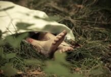 Warga Ketapang Kalbar Tewas Diterkam Buaya