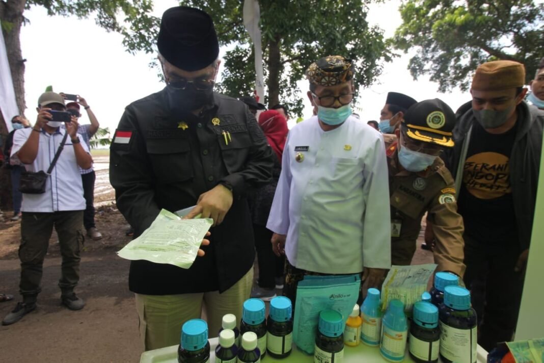 Wakil Menteri Pertanian Ajak Generasi Muda Cirebon Bertani Wakil Menteri Pertanian Harvick Hasnul Qolbi