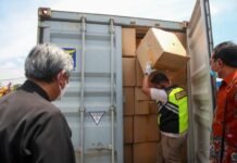 Daun Talas Beneng Asal Jateng Rambah Pasar Australia Harganya Tembus US$2 per Kg