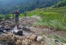 4 Hektar Persawahan Terendam Banjir Bandang, Masyarakat di NTT Potensi Gagal Panen