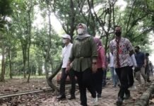 Langkah Tegas Bupati Indramayu Tutup Hutan Kota yang Jadi Tempat Maksiat