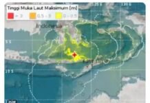 Detik-detik Gempa Magnitudo 7,5 Guncang Larantuka NTT BMKG Beri Peringatan Dini Tsunami | Opsi.id