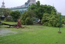 Hujan dan Angin Kencang Tumbangkan Belasan Pohon di Kawasan Masjid Al-Markaz Makassar