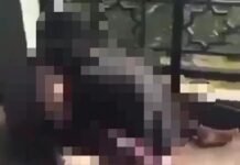 Video Dua Remaja Mesum di Alun-alun Kota Gresik Viral di Medsos