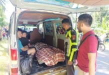 Truk vs Motor di Majene Sulbar, Pengendara Motor Tewas di Tempat