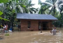 Warga di Empat Kecamatan di Aceh Timur Terisolasi Akibat Banjir