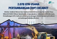 Infografis: Pemerintah Jokowi Cabut 2.078 Izin Perusahaan Penambangan Minerba