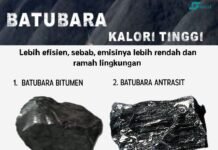 Infografis: Mengapa Batubara Berkalori Tinggi Bermanfaat dan Banyak Diminati?