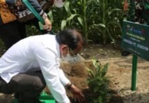 Gandeng Kodam I/BB, Komitmen PT Inalum di Danau Toba Berlanjut