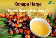Infografis: Kenapa Harga Minyak Goreng Melambung?