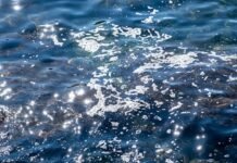 Tumpahan Limbah Minyak di Pantai Hatiwe Besar, Kadis KLH Maluku Turun Tangan