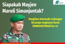 Profil Pangkostrad Baru Mayjen Maruli Simanjuntak
