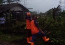 31 Rumah di Batang Jateng Rusak Akibat Angin Kencang