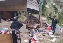 Kawanan Gajah Liar Merusak Belasan Pondok Warga di Pekanbaru