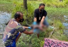 Sesosok Mayat Bayi Perempuan Gegerkan Warga Mamuju Sulbar