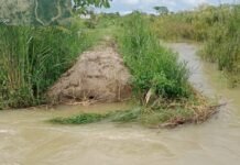 Banjir Rendam 86 Rumah Warga di Luwu Utara