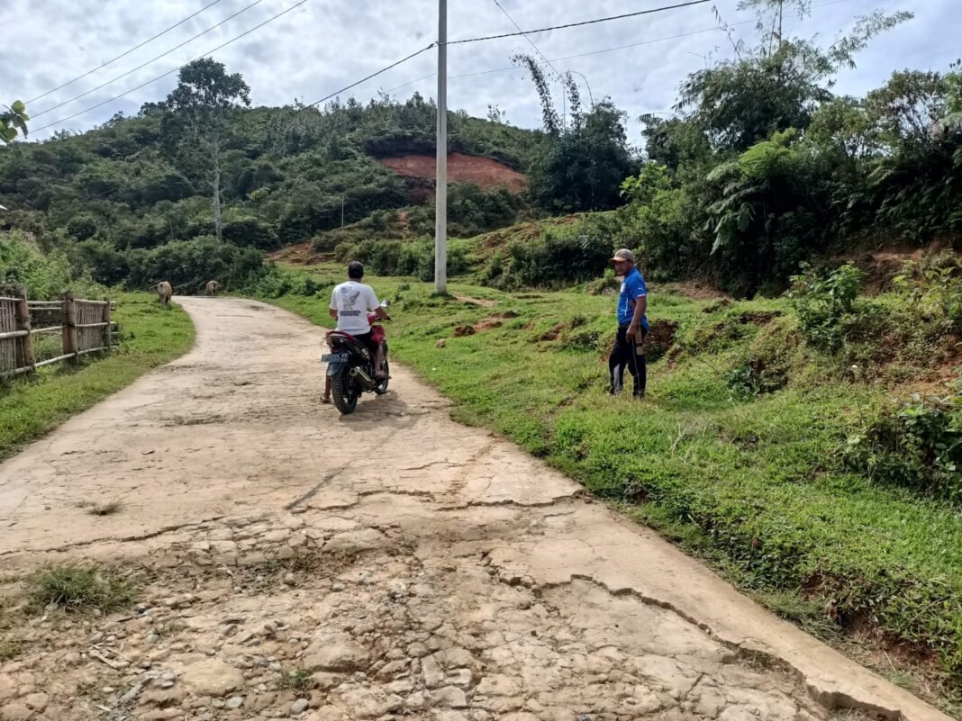 Maling Sapi di Bumal Mamasa Resahkan Warga