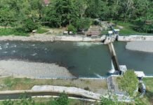 Pasca Rehab, Bendung Makawa Luwu Optimal Aliri 803 Hektare Lahan Pertanian