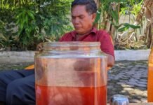 Bupati Abdya: Tidak Pantas Orang Aceh Ngeluh Minyak Goreng Langka