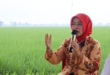 Tradisi Adat Pasang Panjeran, Wabup Cirebon: Harus Dipertahankan