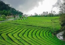 Selaras Alam dan Homestay, Konsep Wisata Jabar 2022