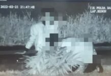 Video Mesum Sepasang Remaja di Lapangan Renon Bali Viral di Media Sosial