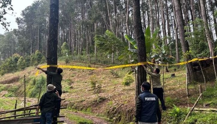 penegakan hukum di hutan