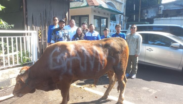 sapi