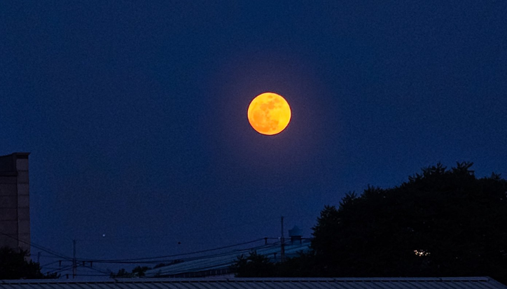 isu tren fenomena Flower Moon