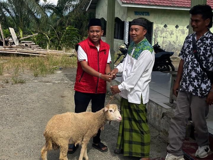 Matthew Sinulingga Salurkan Hewan Kurban ke 4 Rumah Ibadah di Langkat Matthew Sinulingga Salurkan Hewan Kurban ke 4 Rumah Ibadah di Langkat