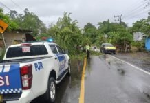 Respons Cepat Sat PJR Polda Sulbar Buka Akses Jalan Usai Tertutup Pohon Tumbang Personel Ditlantas Polda Sulbar saat melakukan pengamanan lalu lintas