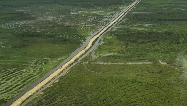 Proyek Jalan 135 Km Papua Digugat, Ahli UGM Bongkar Kesalahan Ganda Pemerintah Pembangunan jalan 135 kilometer dari Kampung Wanam-Muting di Merauke.
