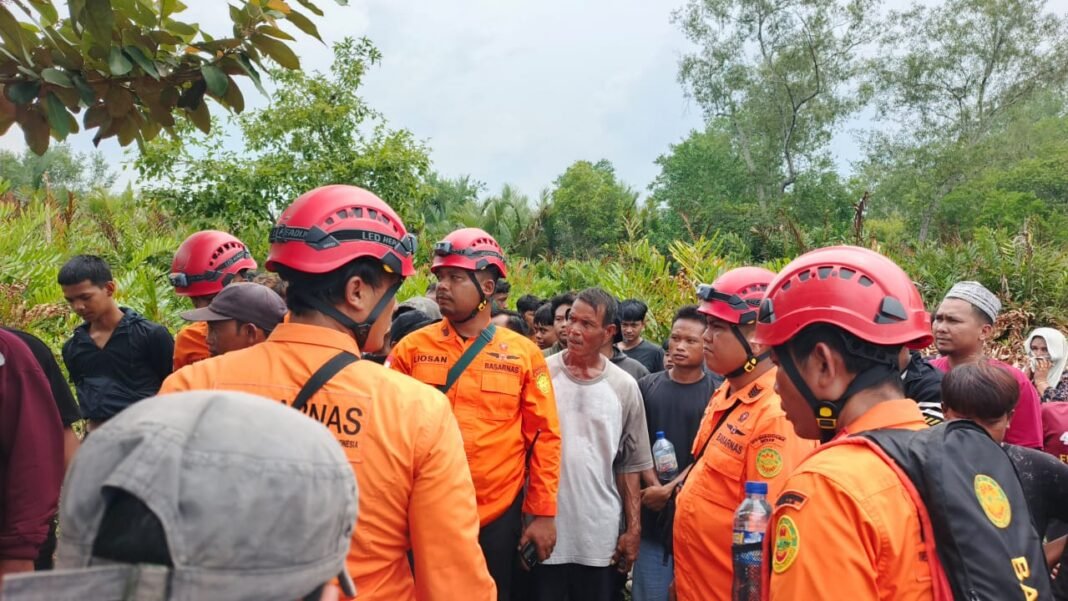 Proses pencarian korban di kawasan hutan.