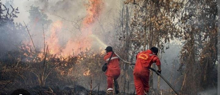 Hutan Kalimantan Terbakar, Kenapa Elite di Jakarta Terlambat Peduli? Hutan Kalimantan Terbakar, Kenapa Elite di Jakarta Terlambat Peduli?