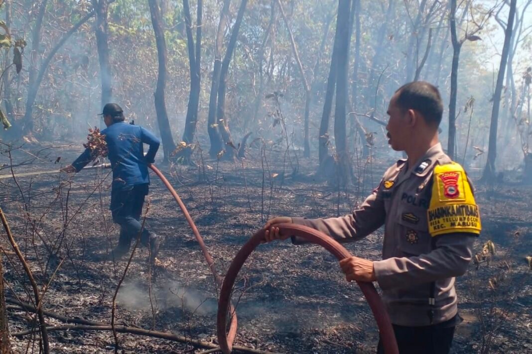 Polisi dan Damkar Padamkan Api yang Membakar Lahan Seluas 2 Hektare di Maros Personel Polres Maros diterjunkan padamkan api yang membakar lahan milik warga, Selasa 11 Agustus 2026. (Foto: Humas)