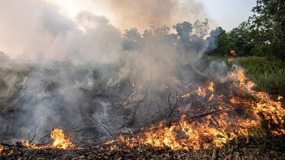 Kapolda Sumsel Perintahkan Verifikasi 31 Titik Panas untuk Cegah Karhutla Meluas Kapolda Sumsel Perintahkan Verifikasi 31 Titik Panas untuk Cegah Karhutla Meluas